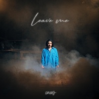 Anees - leave me