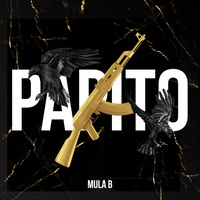 Mula B - Papito | TikTok