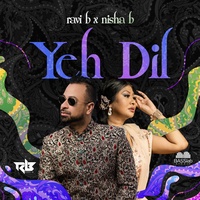 Ravi B & Nisha B - Mehendi Ka Ranngg - Karma Version | TikTok