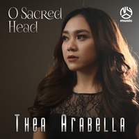 Sound cover