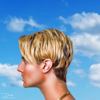 Bart Baker - DRAKE