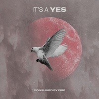 Consumed by Fire - First Things First