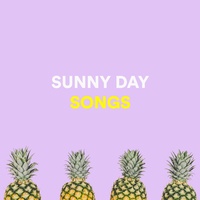 Sound cover