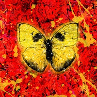 Shivers Ed Sheeran