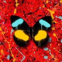 Overpass Graffiti Ed Sheeran