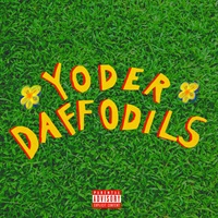 Yoder - Daffodils