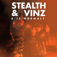 Stealth & Vinz - A je normal?
