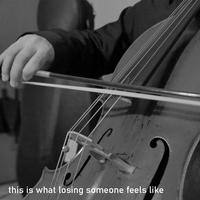 Sound cover