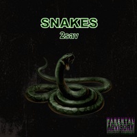 Snakes
