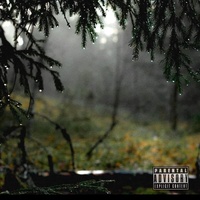 QwiLo - Garden | TikTok