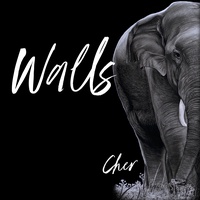 cher @paramountplus Go stream Cher's new single 'Walls'. #cher ...