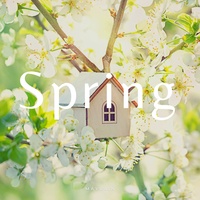 Mayrain - Spring