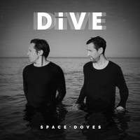 Space Doves - Moon