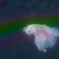 Futurepaw - BETTA FISH