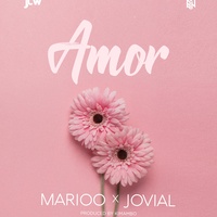Mi Amor Marioo