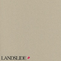 gus dapperton - Landslide | TikTok