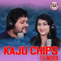 Sound cover