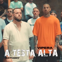 Vipera - A testa alta