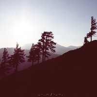 CharlestheFirst - Step / Time