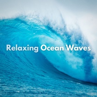 Ocean Sounds & Sea Waves Sounds & Ocean Waves - Beach Waves Sounds | TikTok