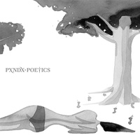 Panda - Amnistía