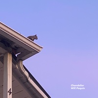 Chandelier Will Paquin