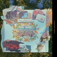 Flamingos in the Tree - Sarah Tonin | TikTok