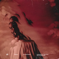 Gaidaa - Falling Higher
