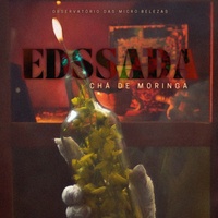 Edssada - Cha de Moringa