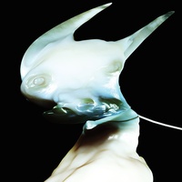 Arca - ????? B