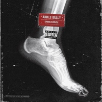Dribble2much - Ankle Bully