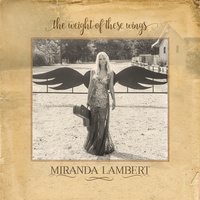 Miranda Lambert - Vice