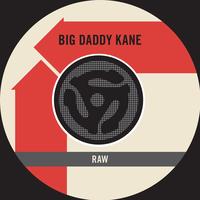 Big Daddy Kane - Raw (Edit) - 45 Version