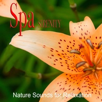 Sound cover