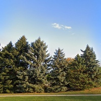 Lieu - drain