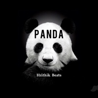 Hrithik Mehra - Panda