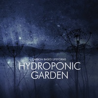 Carbon Based Lifeforms - Tensor