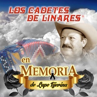 Los Cadetes De Linares - Una Lagrima y un Recuerdo | TikTok