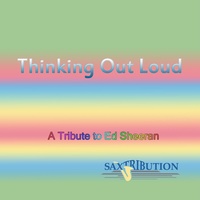 Sound cover