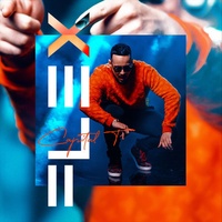 Capital T - Flex