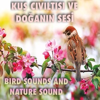 Sound cover
