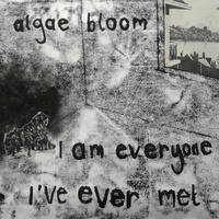 Algae Bloom - "Existential Crisis" as a Wave Machine Setting