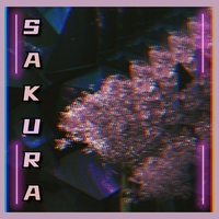 SAMURA1 - Samurai