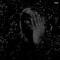 Armanii - WILD & WIKID