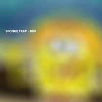 SPONGE TRAP - bob