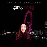 Sound cover