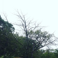 Sadness - Rain