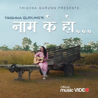Sound cover