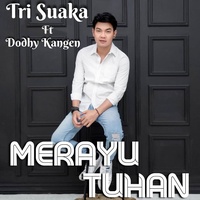 Sound cover