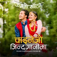 Sound cover